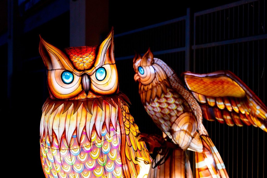 Magische lantaarns tijdens het Chinese Lantern Festival met kleurrijke verlichting die moderne lichtfestivals wereldwijd insp